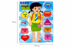   DX554 ภาพตัดต่อรูปร่างกายเด็กหญิงและคำศัพท์ พร้อมหมุดพลาสติก   Image