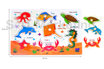   TMY738-1 ภาพตัดต่อรูปสัตว์ทะเลและคำศัพท์ พร้อมหมุดไม้   Image