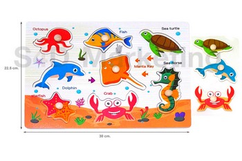  TMY738-1 ภาพตัดต่อรูปสัตว์ทะเลและคำศัพท์ พร้อมหมุดไม้   Image