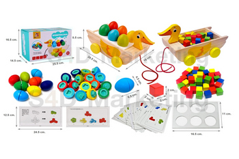 DN-606 รถลากเป็ด 5 in 1   Image